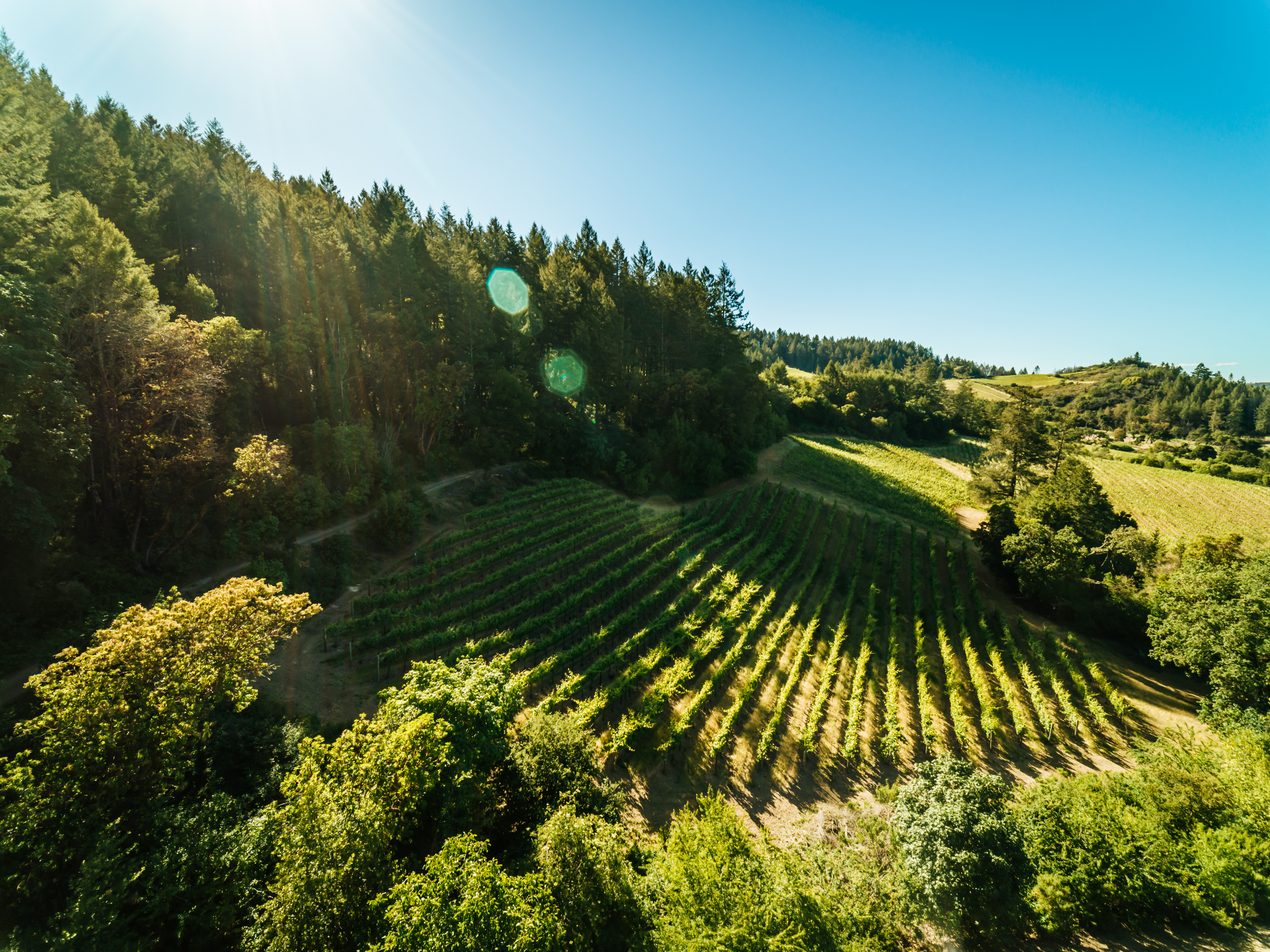 Mt. Brave Mt. Veeder Experience